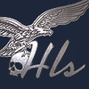 Avatar of Hawk_Silk