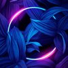 Avatar of nonameandmain