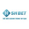 Avatar of SHBET