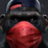 Avatar of Rana.DH