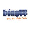 Avatar of bong88top