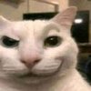 Avatar of LOLZYT