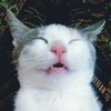 Avatar of soolex.myshop