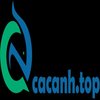Avatar of cacanhtop