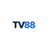 Avatar of tv88usorg