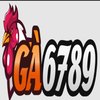 Avatar of Ga6789 – Đá gà trực tuyến