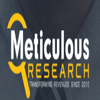 Avatar of Meticulous Market Research Inc.