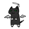 Avatar of SGcat