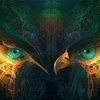 Avatar of daniel_plumeda