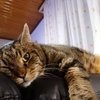 Avatar of Luca007