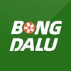 Avatar of 2bongdalu