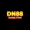 Avatar of DN88