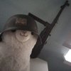 Avatar of LOLgun