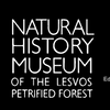 Avatar of Lesvos_Museum