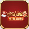 Avatar of hay88living