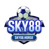 Avatar of sky88