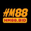 Avatar of hm88bid