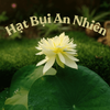 Avatar of hatbuiannhien