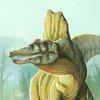 Avatar of paleo.parallax