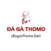 Avatar of Đá Gà Thomo Hôm Nay