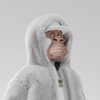 Avatar of Monkey_M