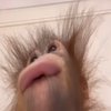 Avatar of gozziba