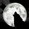 Avatar of loupblack