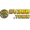 Avatar of sv368town