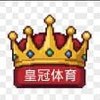 Avatar of 皇冠体育 app