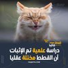 Avatar of hammod.alhasan17