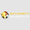Avatar of gavangtv