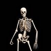 Avatar of Blockster_9