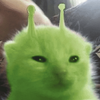 Avatar of dilliscool311