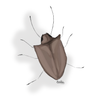 Avatar of BENDOPOTATO