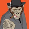 Avatar of Mafia Monkey