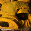Avatar of FuzzyDaFur
