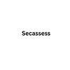 Avatar of SecAssess