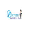 Avatar of Fulcrum Resource Pvt Ltd