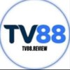 Avatar of Nhà Cái TV88