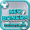 Avatar of keobongdaplus