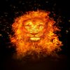 Avatar of leonixoficial3649