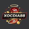 Avatar of Xocdia88nyc Cong Game