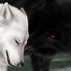Avatar of GamingWolves