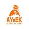 Avatar of Aynek Global Academy