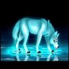 Avatar of mbell2541