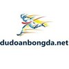 Avatar of dudoanbdnet