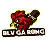 Avatar of BLV Gà Rừng