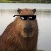 Avatar of capybara_drip