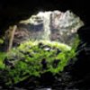Avatar of Daknong Geopark