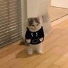 Avatar of pimwqw